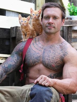 Gorgeous Guys,  Cute Kitties