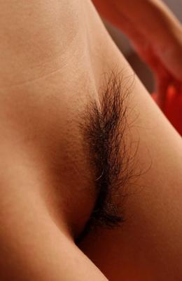 I love Japanese pubes