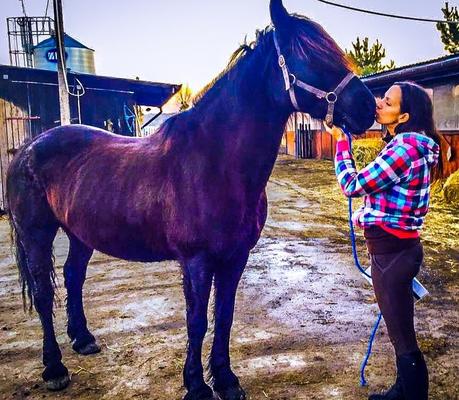 セクシーな長い髪のブルネットは自分の馬小屋を持っています