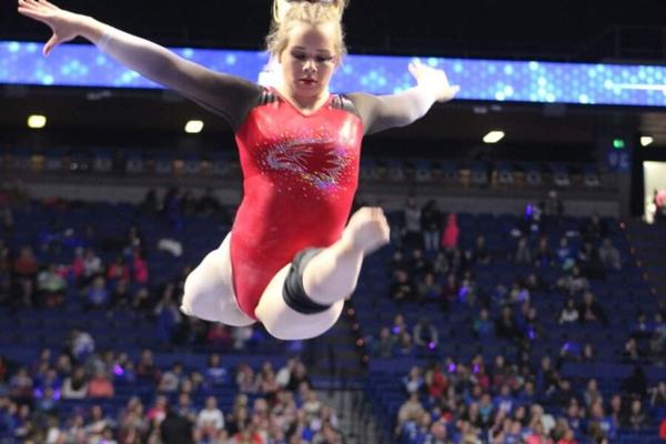 Gymnastics Leotards