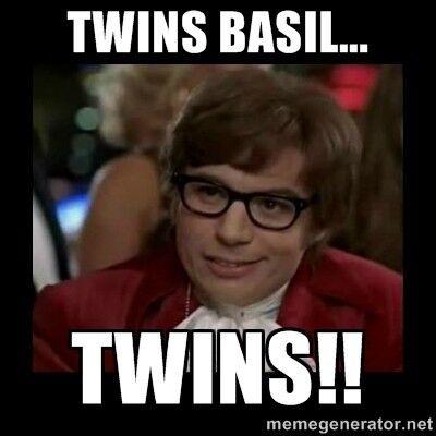 Twins, Basil ... Twins!