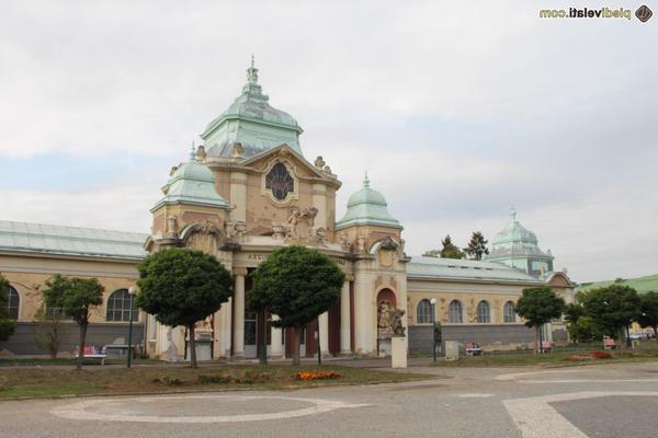 Сексуальная сучка в колготках